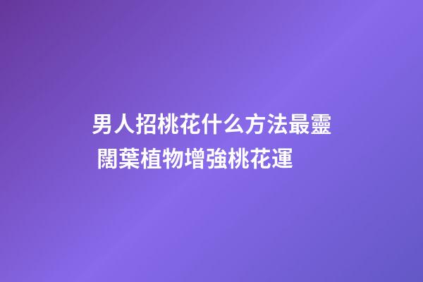 男人招桃花什么方法最靈 闊葉植物增強桃花運